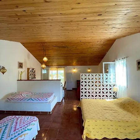 Apartment Morosi - Favone