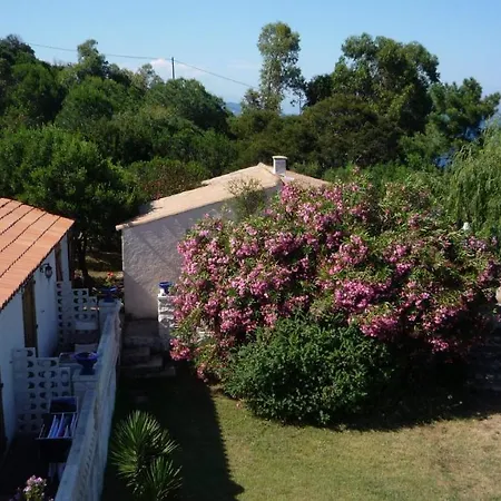 Morosi - Favone