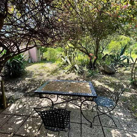 Morosi - Favone